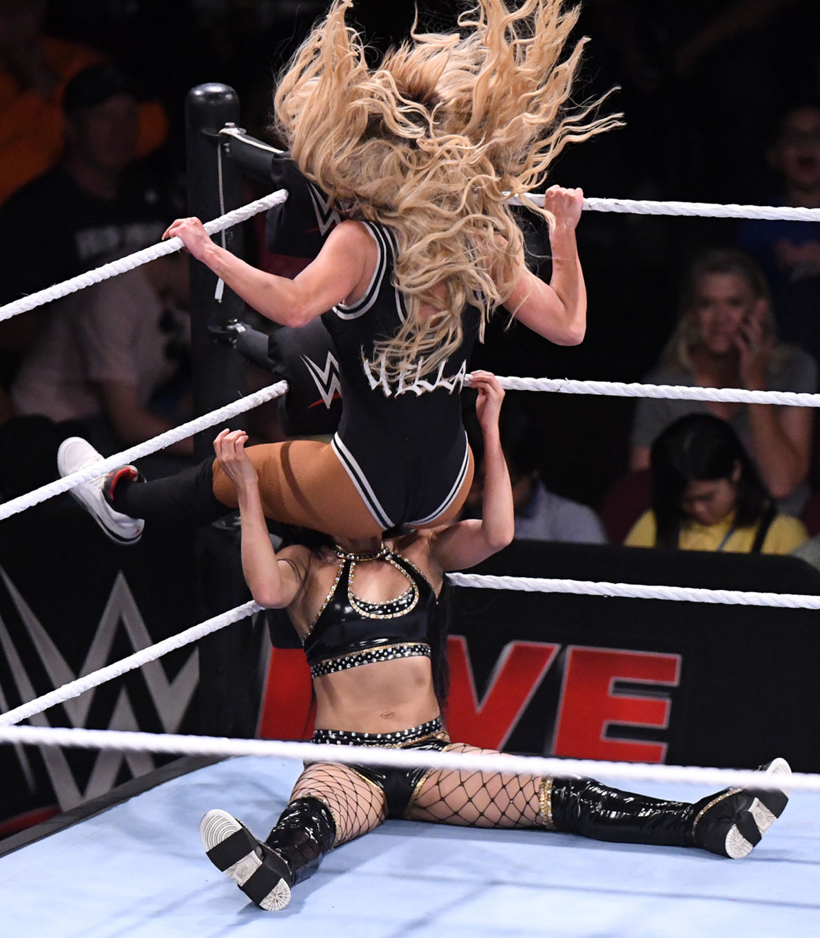 WWE at Reed Arena